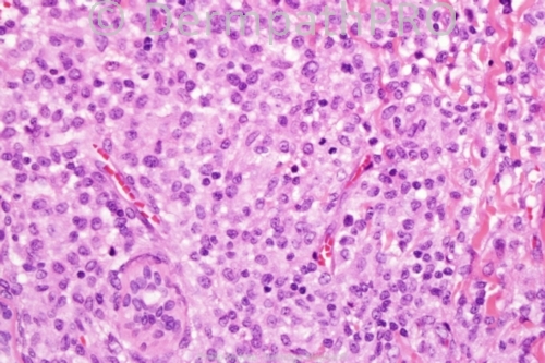 picture-1