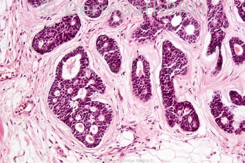picture-1