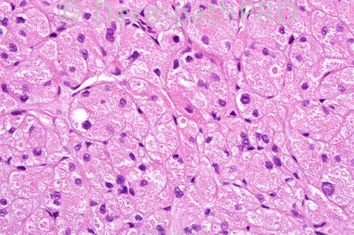picture-1