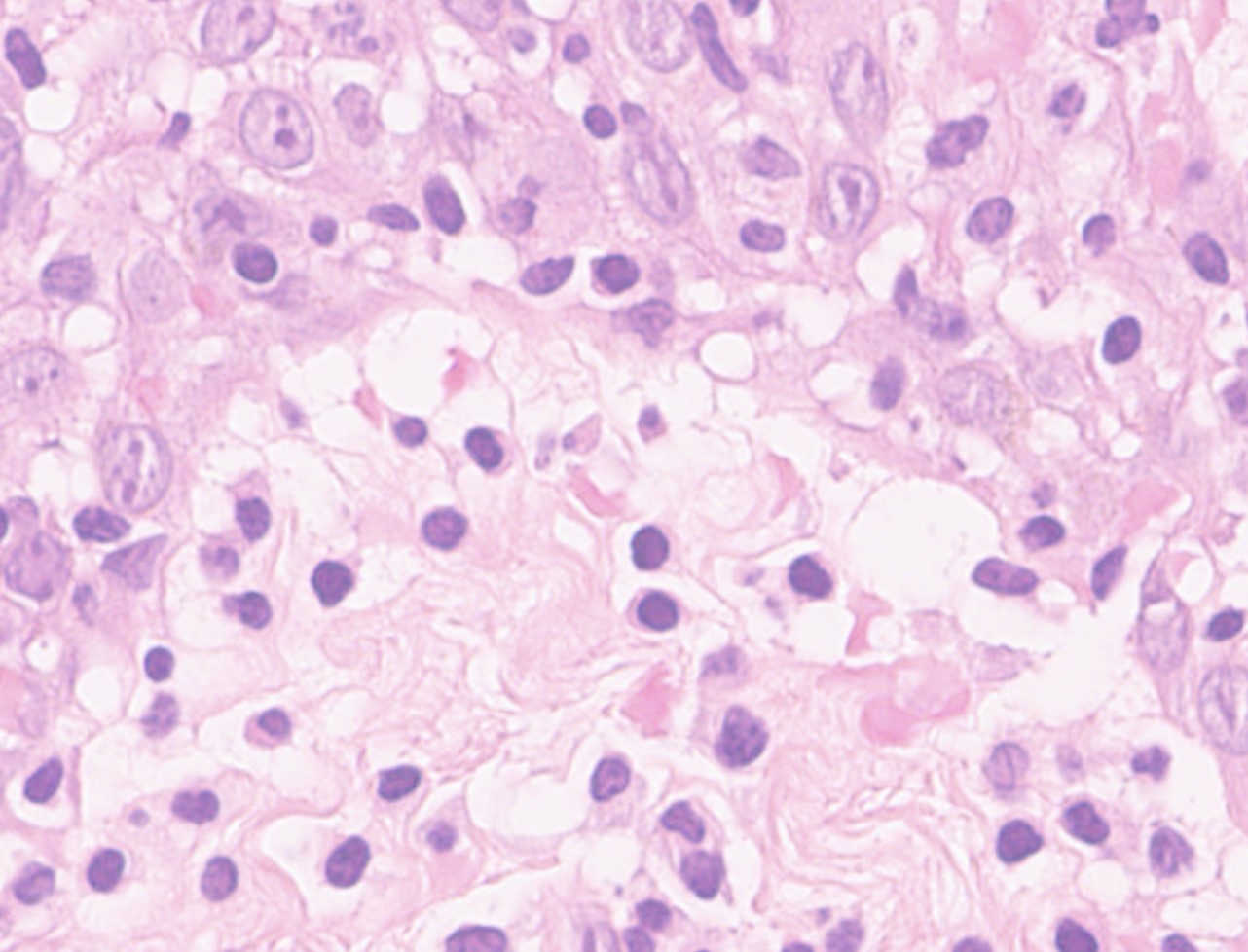 picture-6